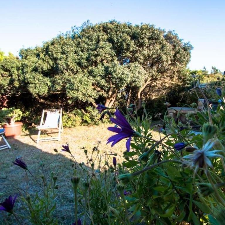L'Elicriso - A pochi passi dal mare con giardino privato - The Elicriso - A few meters from the sea, with private garden - Appartamento con 1 Camera da Letto - 2