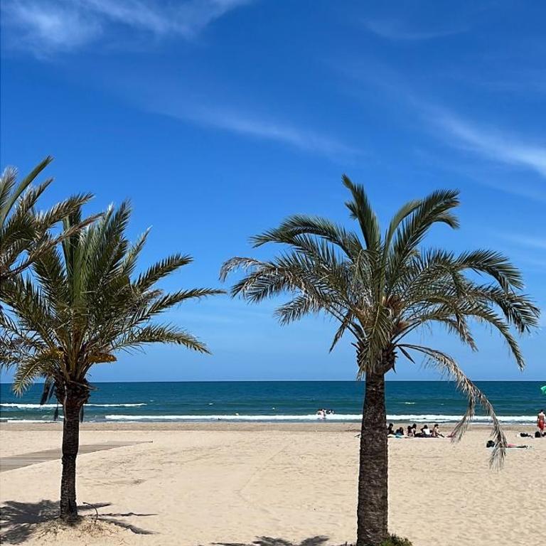 Benning Haus Gandia - Apartamento de 2 dormitorios - 1