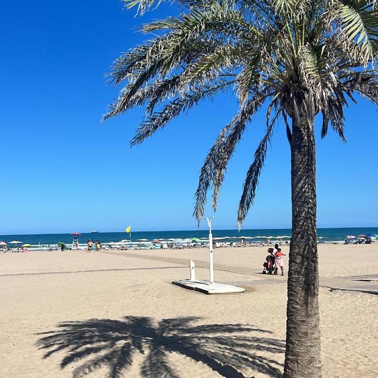 Benning Haus Gandia - Apartamento de 2 dormitorios - 19