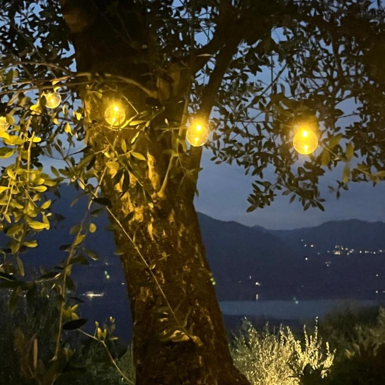 Tra gli ulivi di Giovanni charme apartment - Apartment mit 2 Schlafzimmern - 36