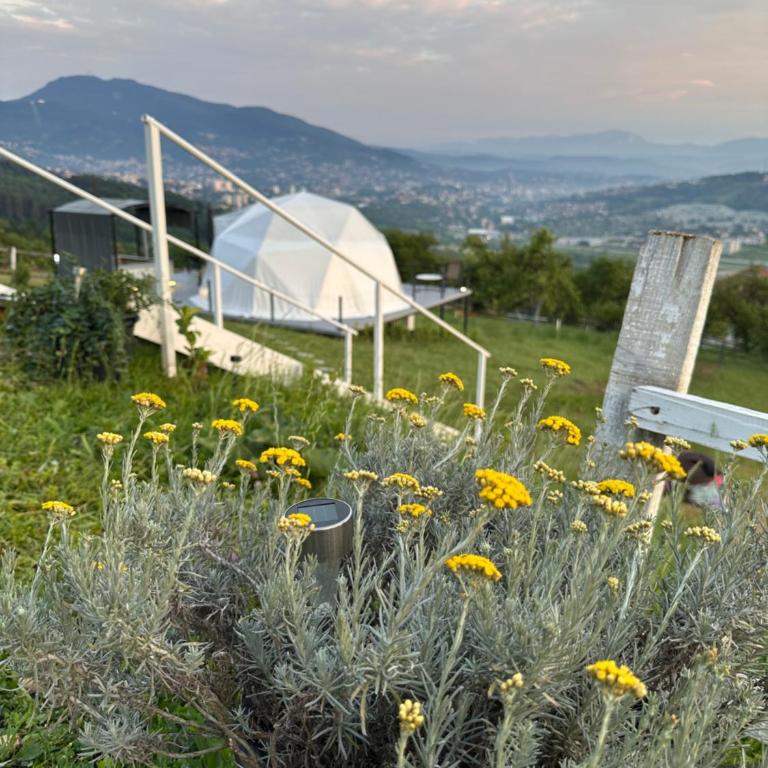 Džipsi glamping resort - Haus mit 1 Schlafzimmer - 4