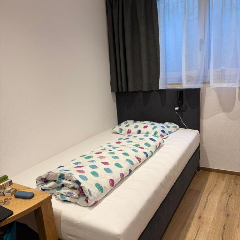 AurAlpin Apartments - Budget Einzelzimmer - 16
