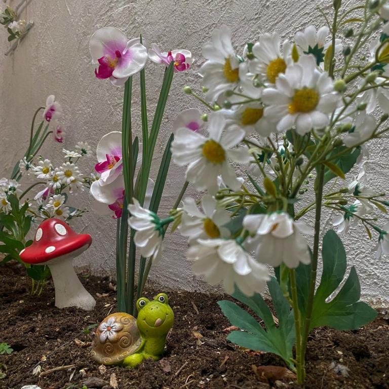 Secret Garden Mostar - Apartman sa 1 Spavaćom Sobom - 6