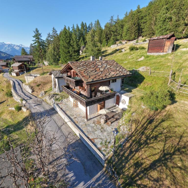 Waldnest - Apartment mit 1 Schlafzimmer - 7