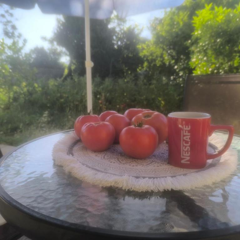 Sicilija - Apartman sa 2 Spavaće Sobe - 2