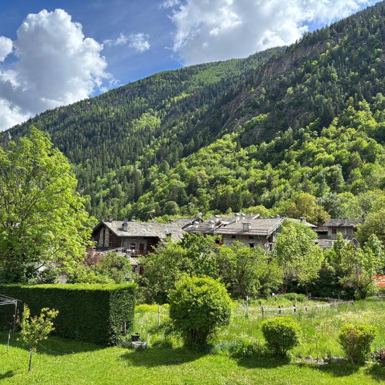 Le Petit Mont Blanc - Appartamento Alpino - Appartamento con 1 Camera da Letto - 1