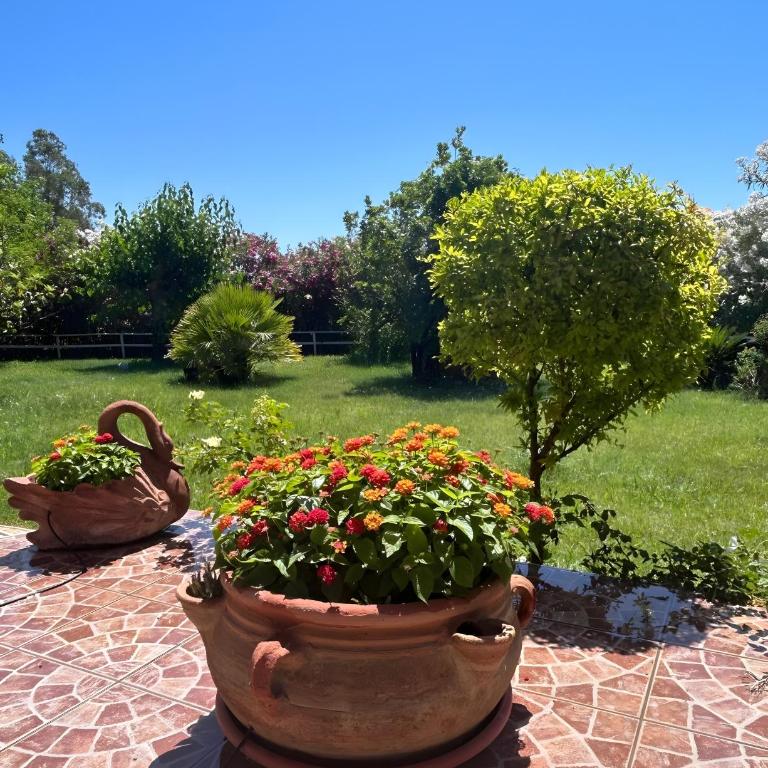 Villa Funtana Cortese - Villa with Sea View - 10