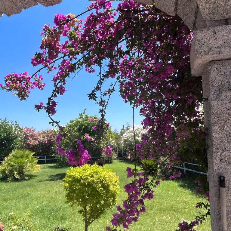 Villa Funtana Cortese - Villa with Sea View - 9