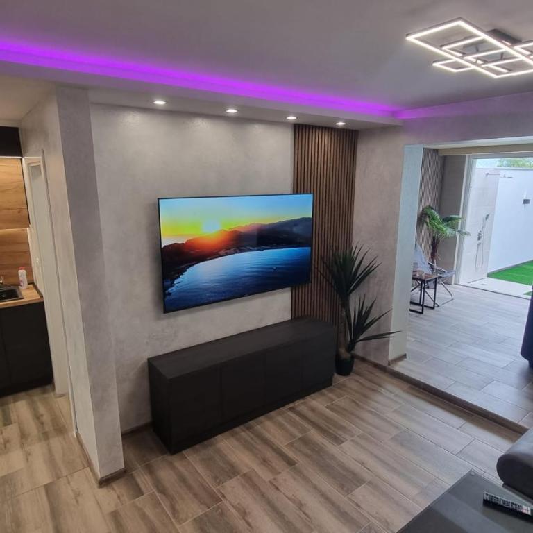 Jacuzzi apartments Istočno Sarajevo - Deluks Apartman s 1 Spavaćom Sobom - 11