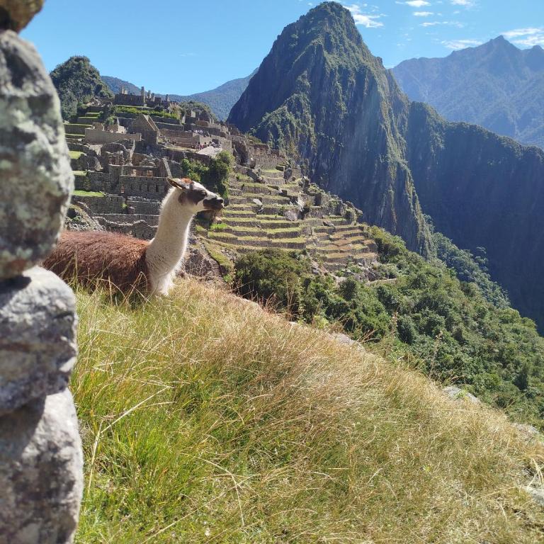 Picos House MachuPicchu - Family Room - 1