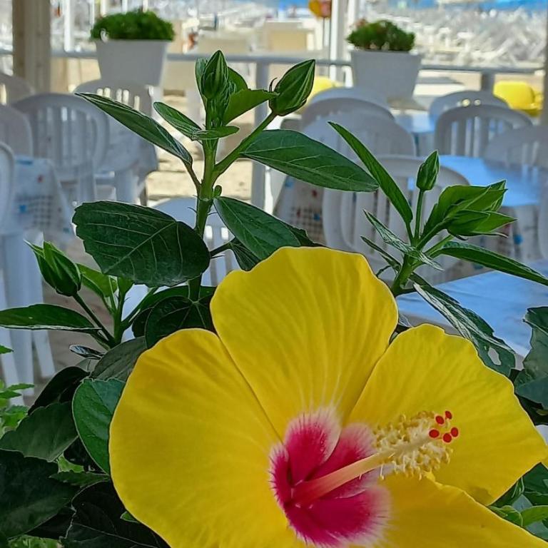 Vincy's House, Mare e Collina - Casa de 3 dormitorios - 29