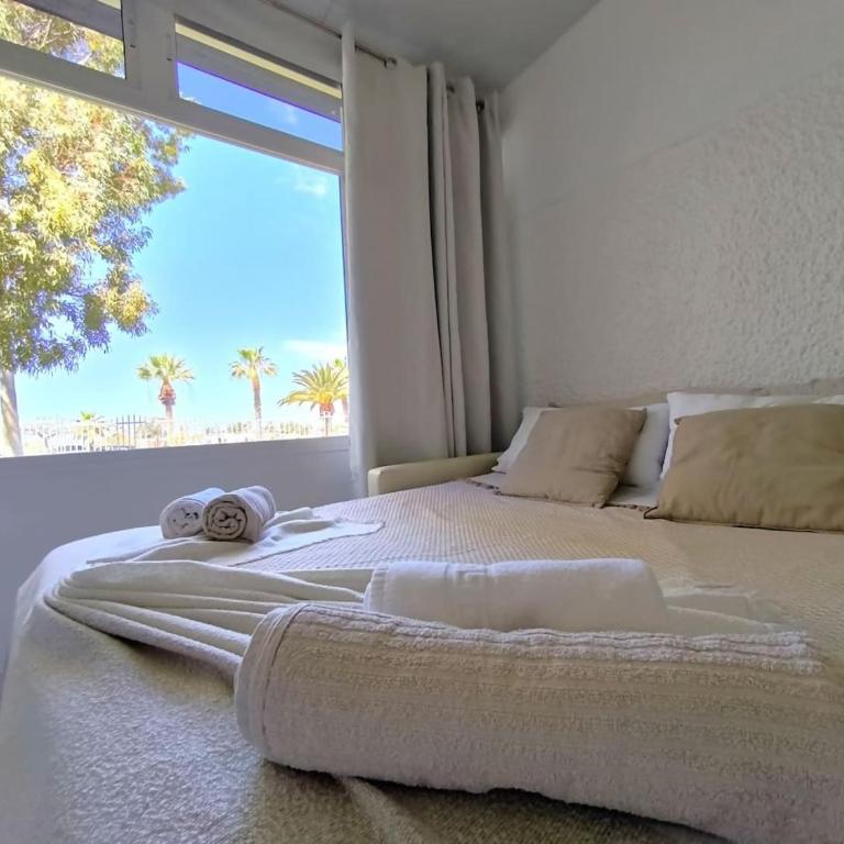RenTenerife Canary Oasis - Agarimo - Estudio - 18