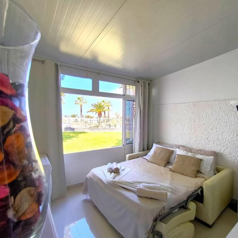RenTenerife Canary Oasis - Agarimo - Estudio - 26