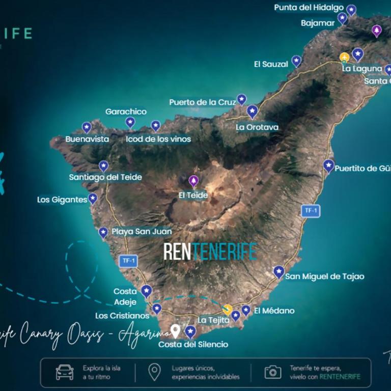 RenTenerife Canary Oasis - Agarimo - Estudio - 34