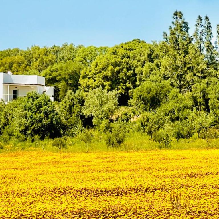 Agreen Country House - Appartamento con 2 Camere da Letto - 8