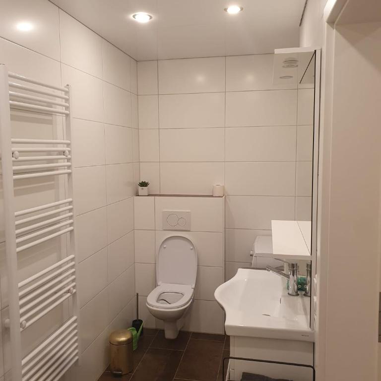 Ruhige 80 m2 Duplexwohnung mit Garten, 2 Bädern und Parkplatz nahe Innenstadt - Two-Bedroom Apartment - 3