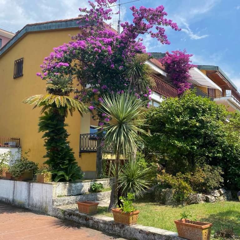 The Portofino Terrace - villa 7 posti con piscina panorama incantevole - Villa - 26