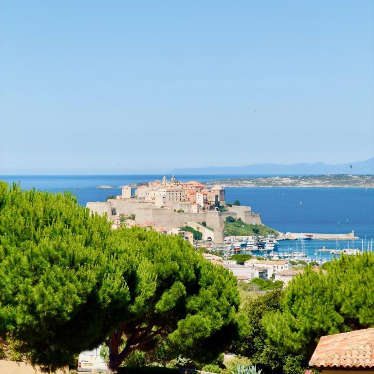Panorama unique sur la baie de Calvi - Villa - 10