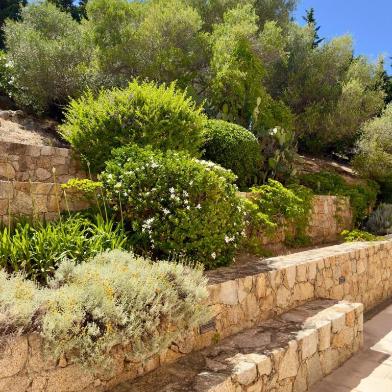 Panorama unique sur la baie de Calvi - Villa - 49