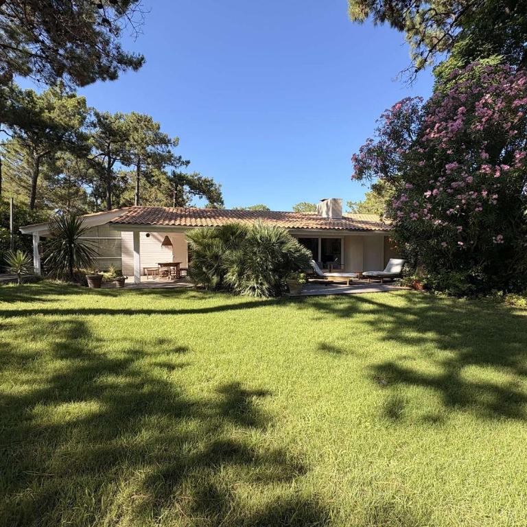 Charmante villa familiale au Cap Ferret, proche plages, 9 pers - FR-1-736-68 - Villa - 21