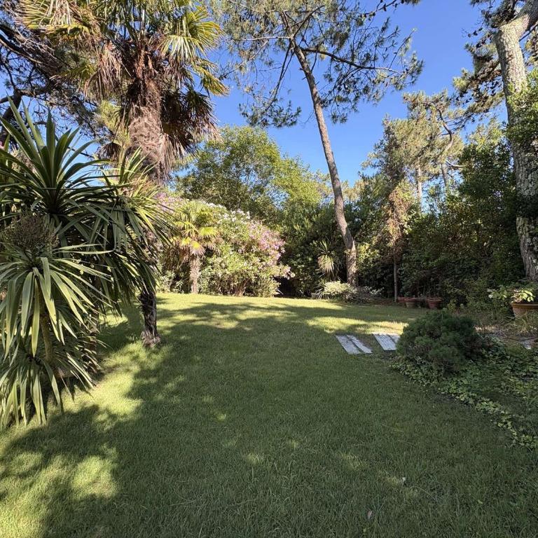 Charmante villa familiale au Cap Ferret, proche plages, 9 pers - FR-1-736-68 - Villa - 23