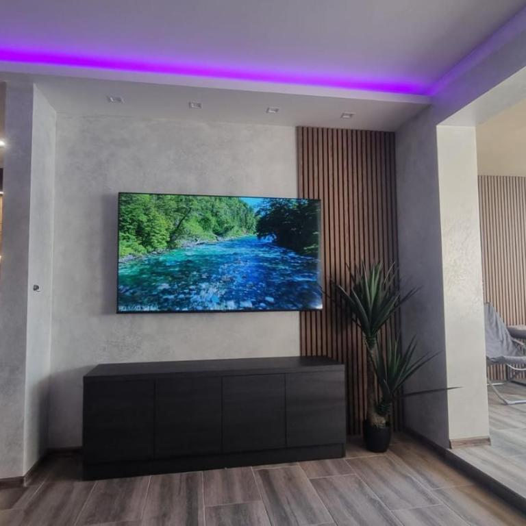 Jacuzzi apartments Istočno Sarajevo - Deluks Apartman s 1 Spavaćom Sobom - 4