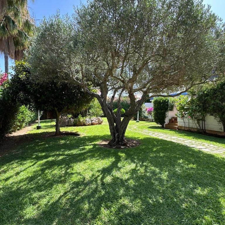 Marina Blau A1 - Apartamento de 2 dormitorios - 2