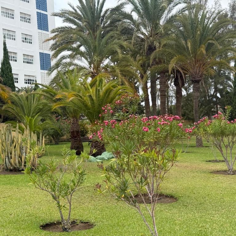 Agaete 220 Playa de Inglés by stay in gran canaria - Appartamento con 2 Camere da Letto - 24