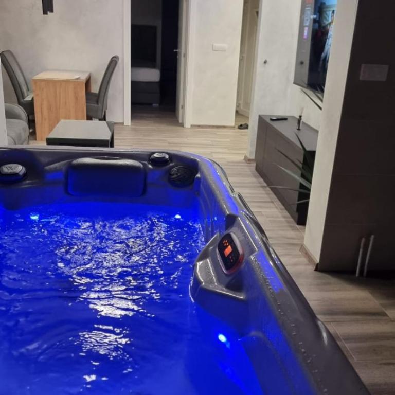 Jacuzzi apartments Istočno Sarajevo - Deluks Apartman s 1 Spavaćom Sobom - 5