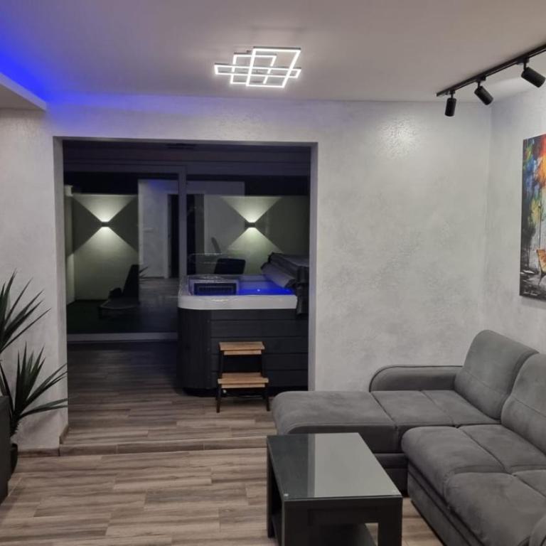 Jacuzzi apartments Istočno Sarajevo - Deluks Apartman s 1 Spavaćom Sobom - 6