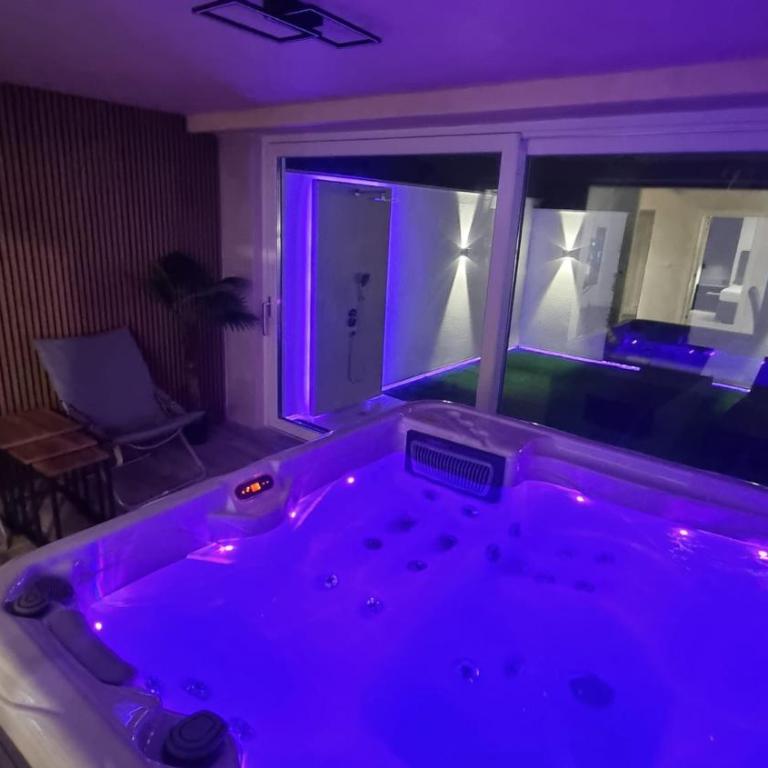 Jacuzzi apartments Istočno Sarajevo - Deluks Apartman s 1 Spavaćom Sobom - 1