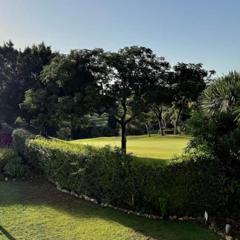Townhouse Los Algarrobos - Casa - 35