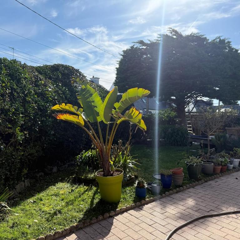Spacious and comfortable home near beaches - Villa - 4