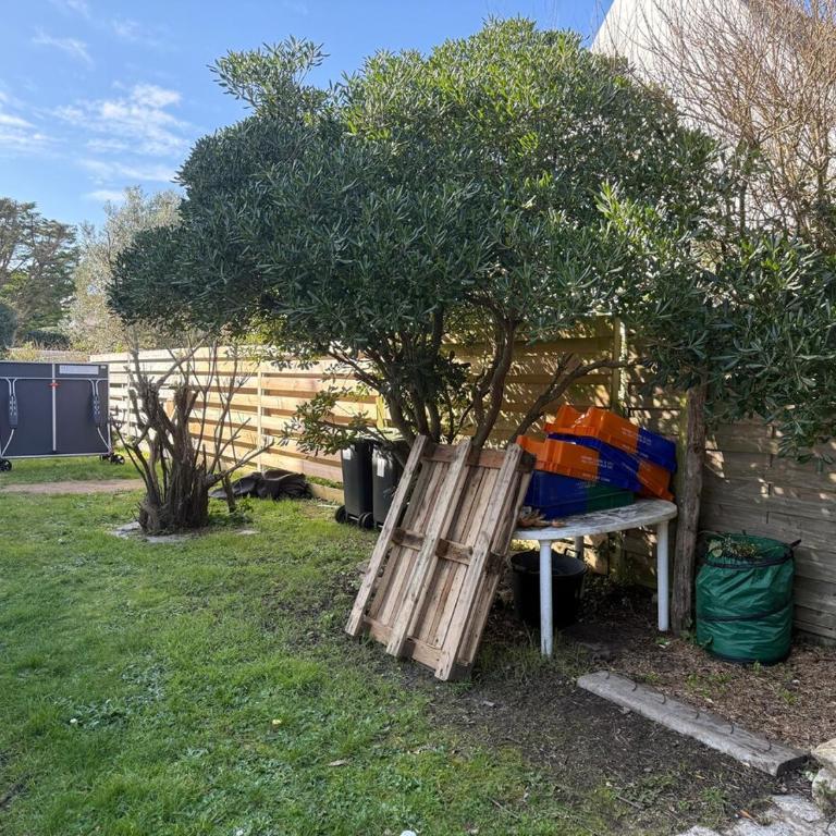 Spacious and comfortable home near beaches - Villa - 19