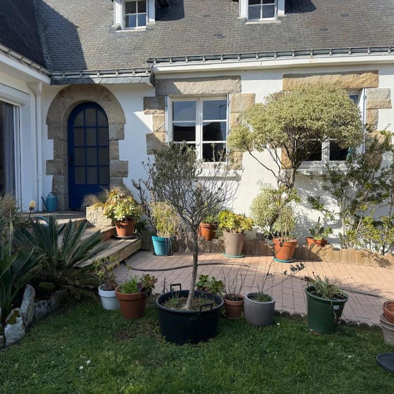 Spacious and comfortable home near beaches - Villa - 22