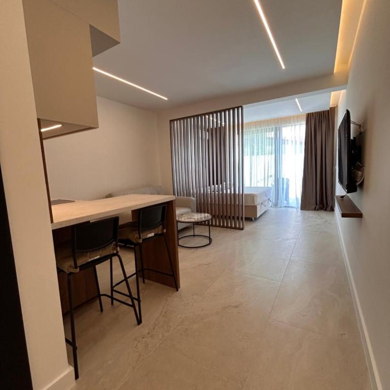 Linea Residence 2 - One-Bedroom Apartment - 12