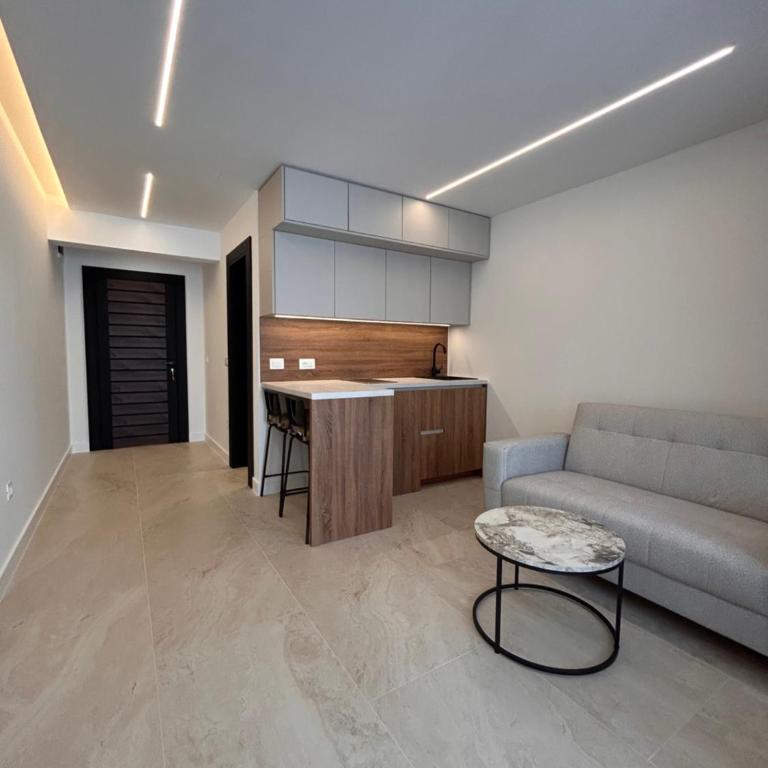 Linea Residence 2 - One-Bedroom Apartment - 5