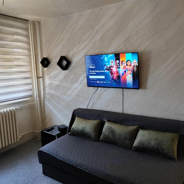 Kalemegdan park and Zoo 1 - One-Bedroom Apartment - 13