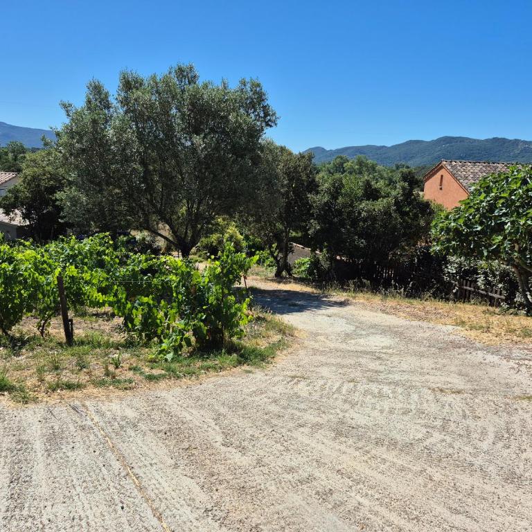 La maison sous les oliviers Casa d'Iloa - One-Bedroom House - 39