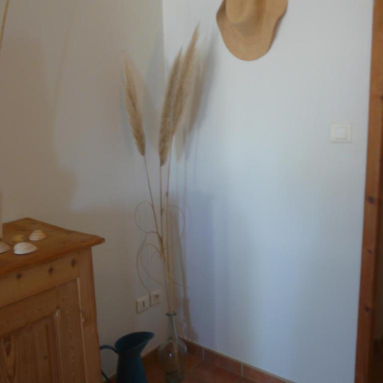 Un coin de campagne Grand appartement près de la mer pour 2 à 6 personnes - Apartamento con vistas al jardín - 14