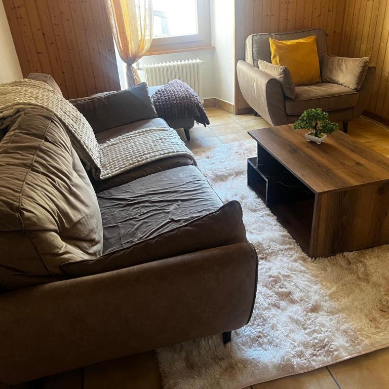Cosy and quiet near to Sion - Apartment mit 2 Schlafzimmern - 3