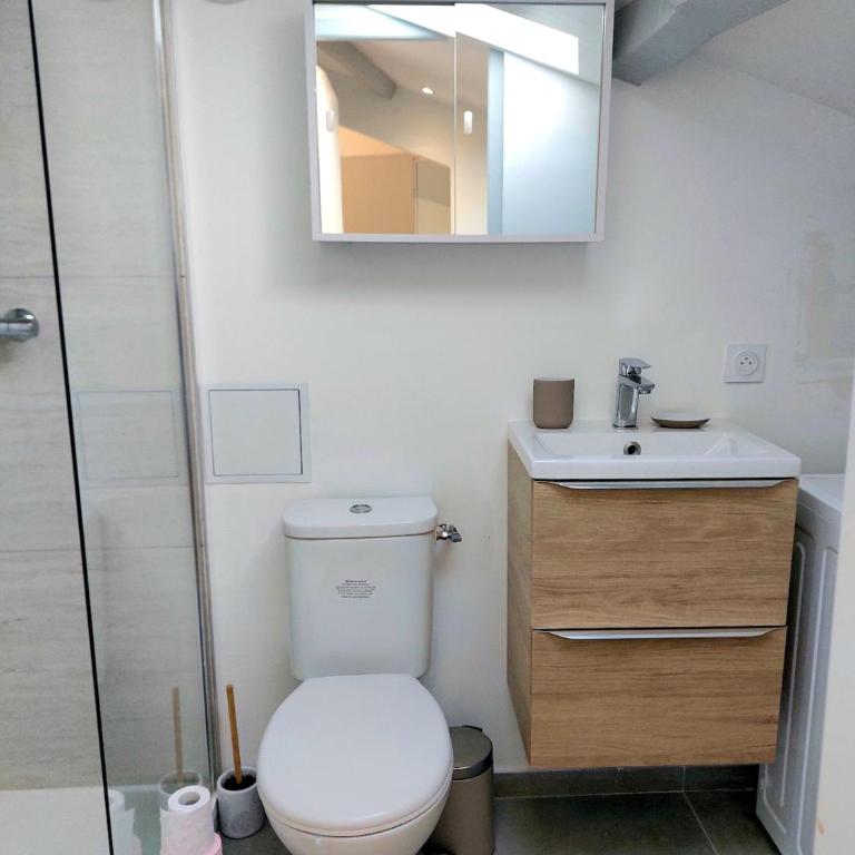 T2 hyper centre Aix les Bains - Apartment mit 1 Schlafzimmer - 13