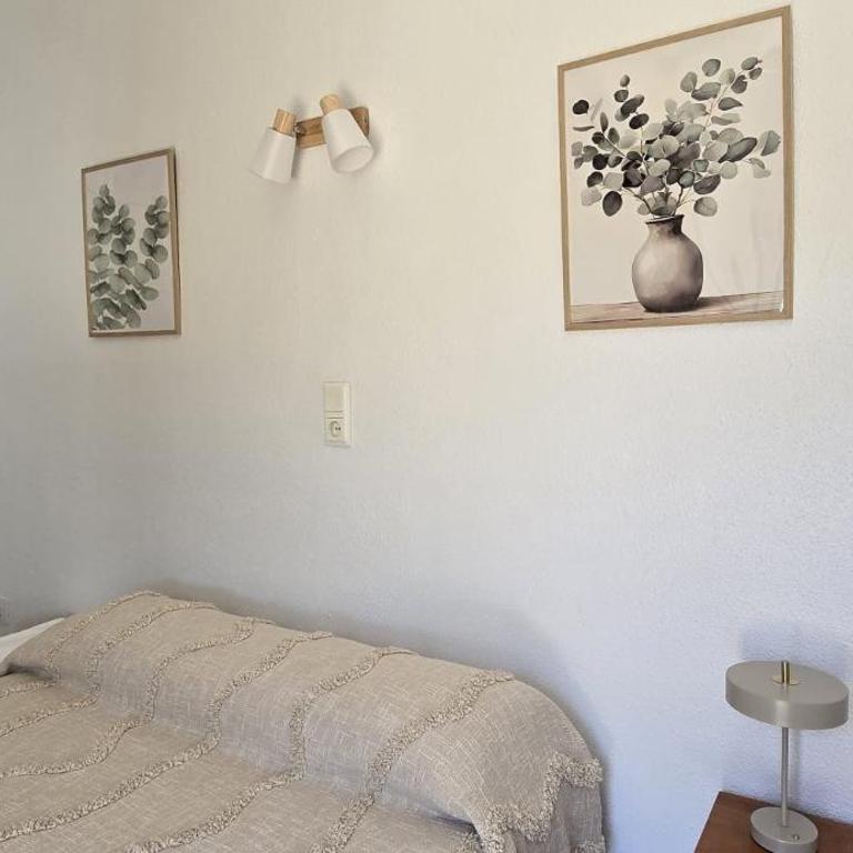 Hostal la Campa - Habitación Individual - 1