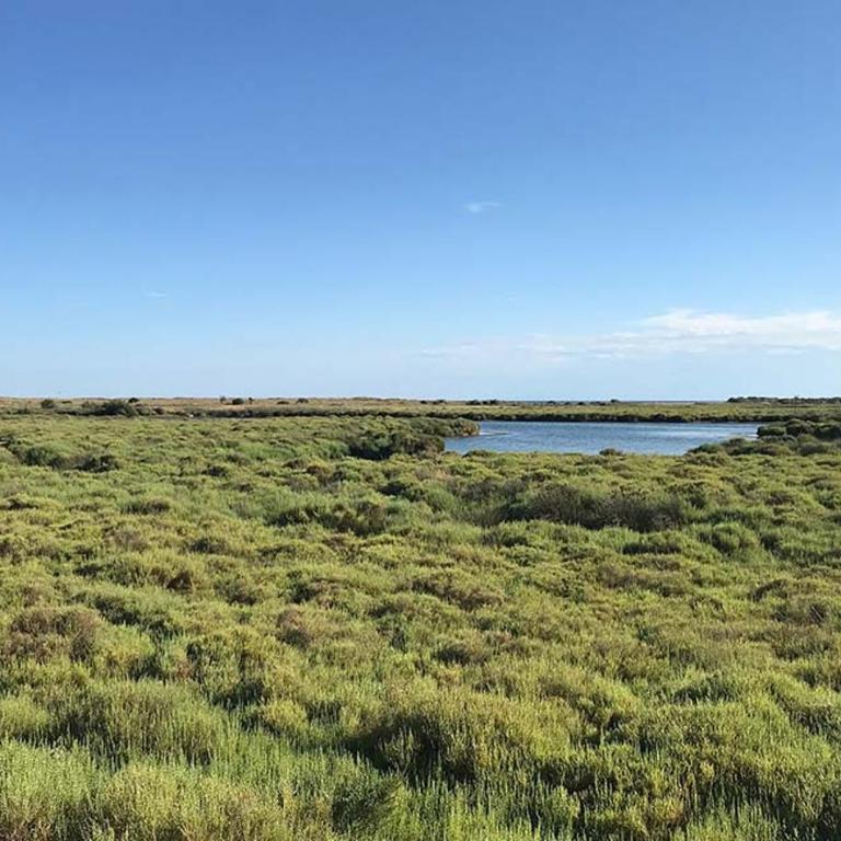 Un coin de campagne Grand appartement près de la mer pour 2 à 6 personnes - Apartamento con vistas al jardín - 47