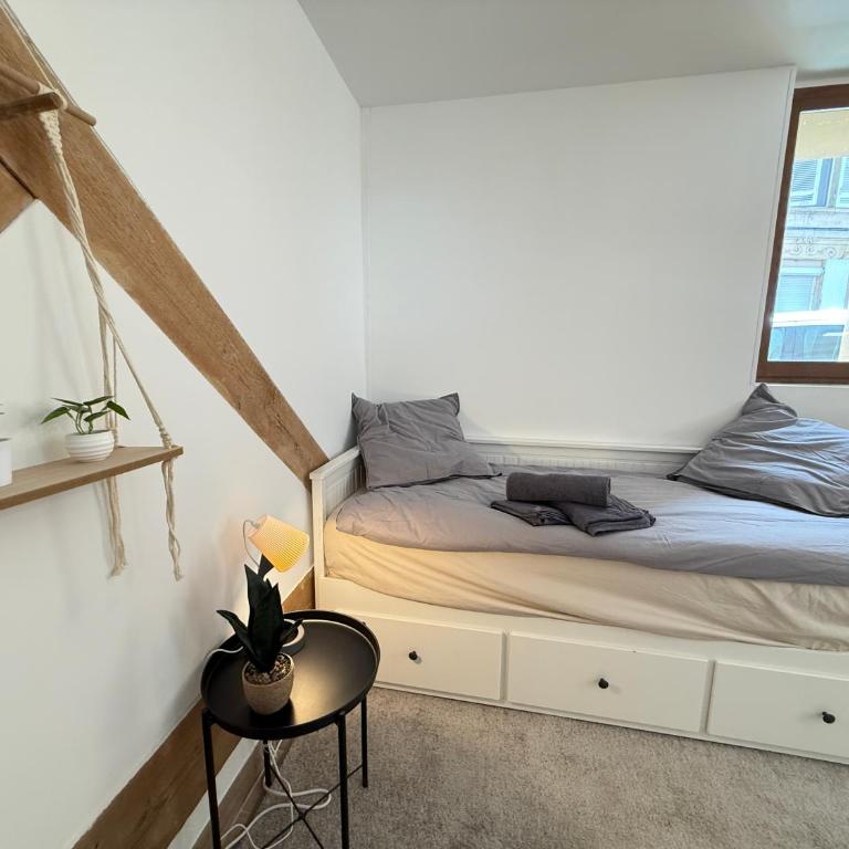 T1 Charmant - Centre ville - Madeleine - Appartement 1 Chambre - 8