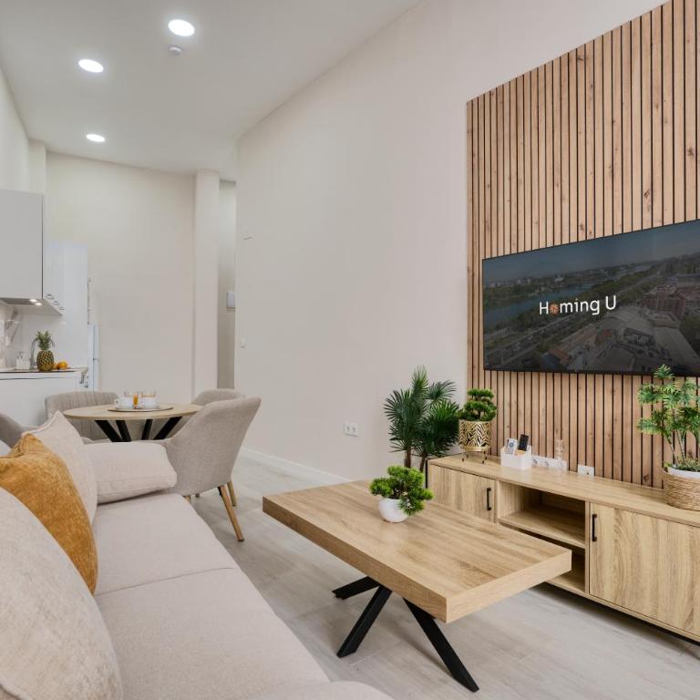 Loyola Premium Sevilla Centro, by Homing U - Estudio con sofá cama - 7
