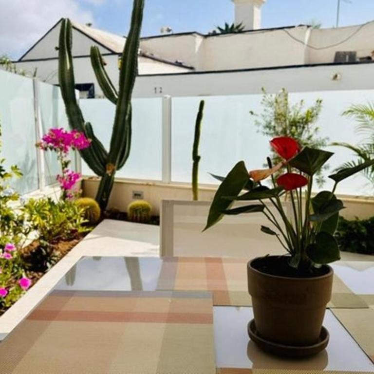 Marbella Golf 27 - Apartamento de 1 dormitorio - 4