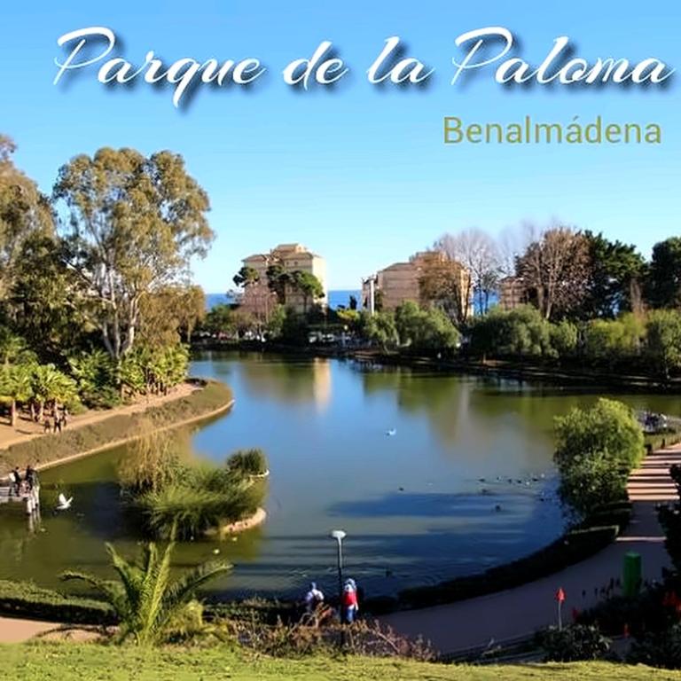 Estudio con piscina y terraza cerca de la playa en Benalmádena - Apartment mit 1 Schlafzimmer - 26