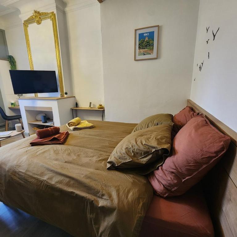 Le Petit Montmartre Chic studio Nîmes centre ville - Appartement 1 Chambre - 17