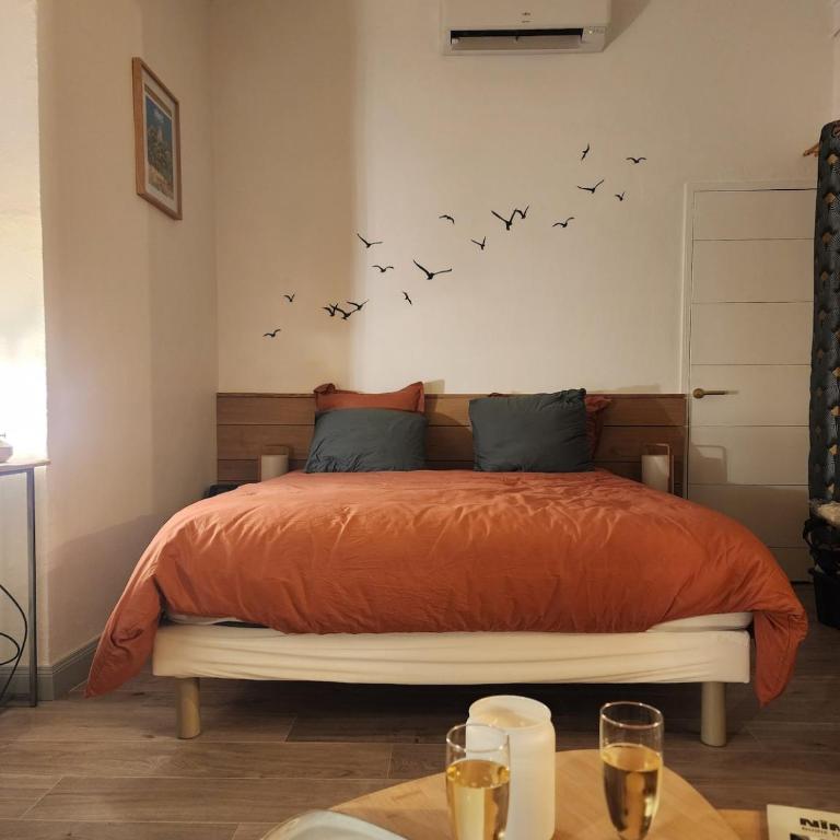 Le Petit Montmartre Chic studio Nîmes centre ville - Appartement 1 Chambre - 19